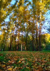 Similar image 21062657