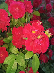 Similar image 21074251