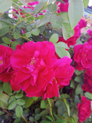 Similar image 21074252