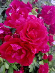 Similar image 21074254