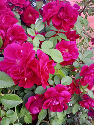 Similar image 21074255