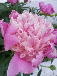 Similar image 21074256