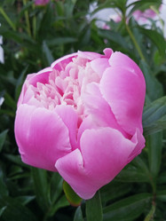 Similar image 21074257