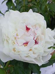 Similar image 21074263