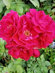 Similar image 21074265