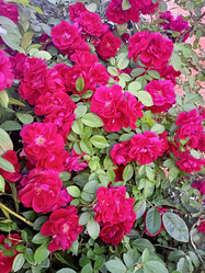 Similar image 21074267