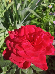 Similar image 21074268