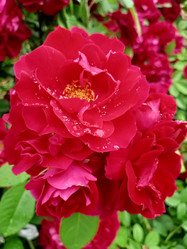 Similar image 21074270