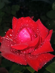 Similar image 21062696