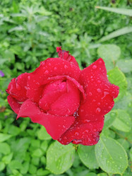 Similar image 21074274