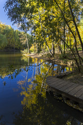 Similar image 21062739