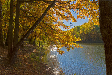 Similar image 21062743