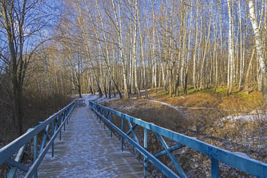 Similar image 21063024