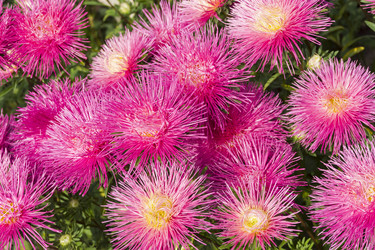 Similar image 21063034