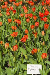 Similar image 21063037