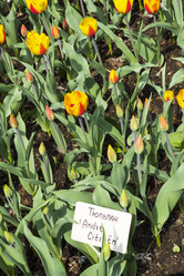 Similar image 21063038