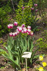 Similar image 21063040