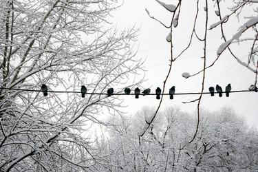 Similar image 21062612