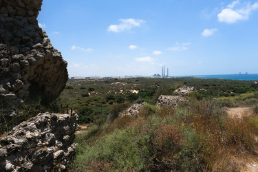 Similar image 21062613