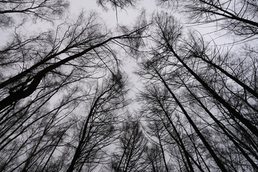 Similar image 21062616