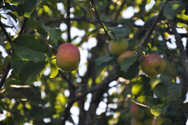 Similar image 21067855