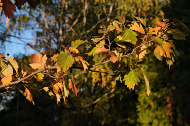 Similar image 21062617