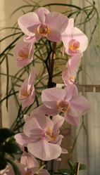 Similar image 21062618