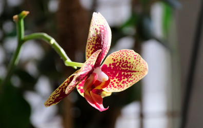 Similar image 21062619