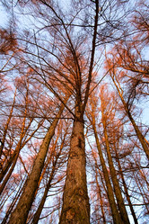 Similar image 21062621