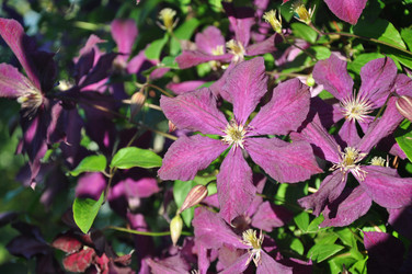 Similar image 21067858