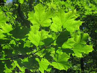 Similar image 21062623