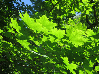 Similar image 21062625