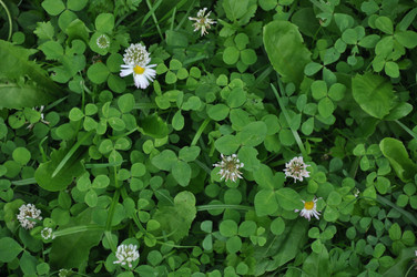 Similar image 21067871