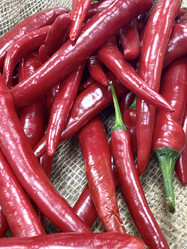 Similar image 21070020