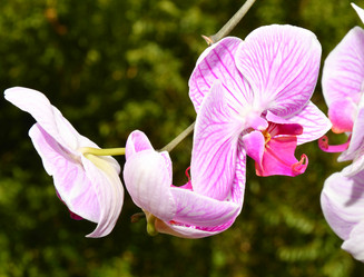 Similar image 21070356