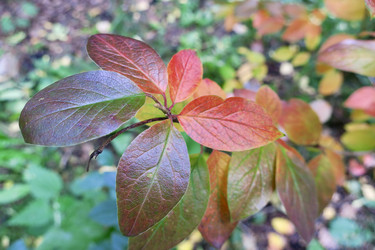 Similar image 21062626