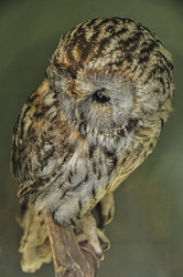 Similar image 21067874