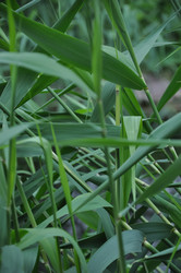 Similar image 21067879