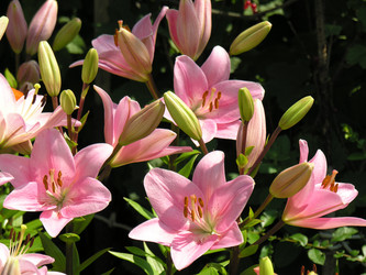 Similar image 21063044