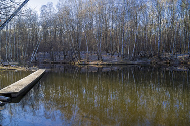 Similar image 21063046