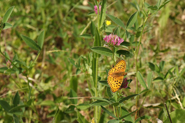 Similar image 21062674