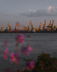 Similar image 21062698