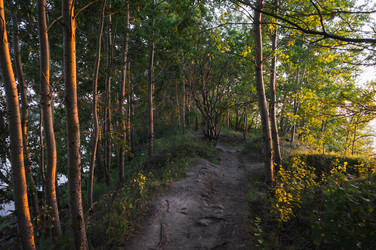 Similar image 21062699