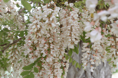 Similar image 21062750