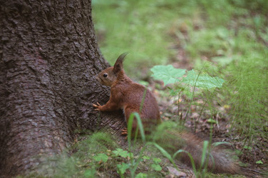 Similar image 21062752