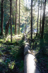 Similar image 21062754