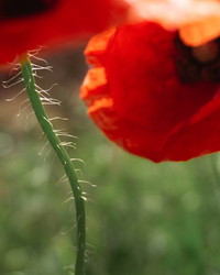 Similar image 21062756