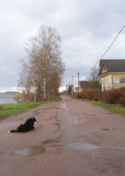 Similar image 21062757