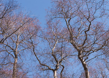 Similar image 21062759