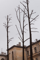 Similar image 21062764